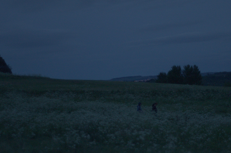 hillside